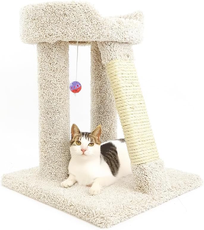 New Cat Condos Elevated Cat Bed with Toy and Scratcher