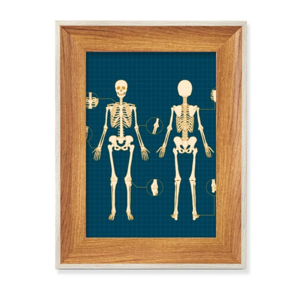 Esqueleto humano de ilustración con marco de fotos en madera para mesa y decoración