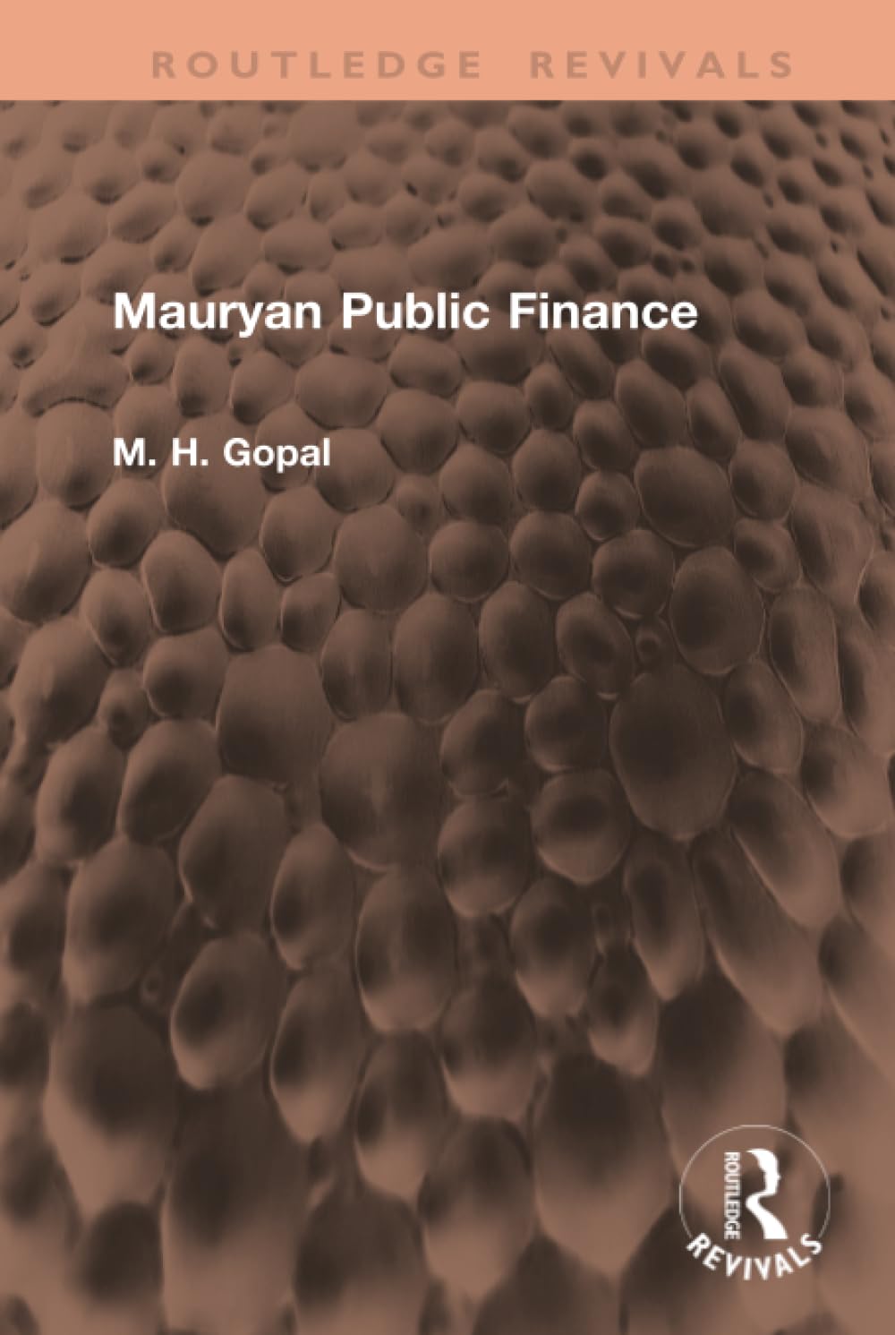Mauryan Public Finance (Routledge Revivals)