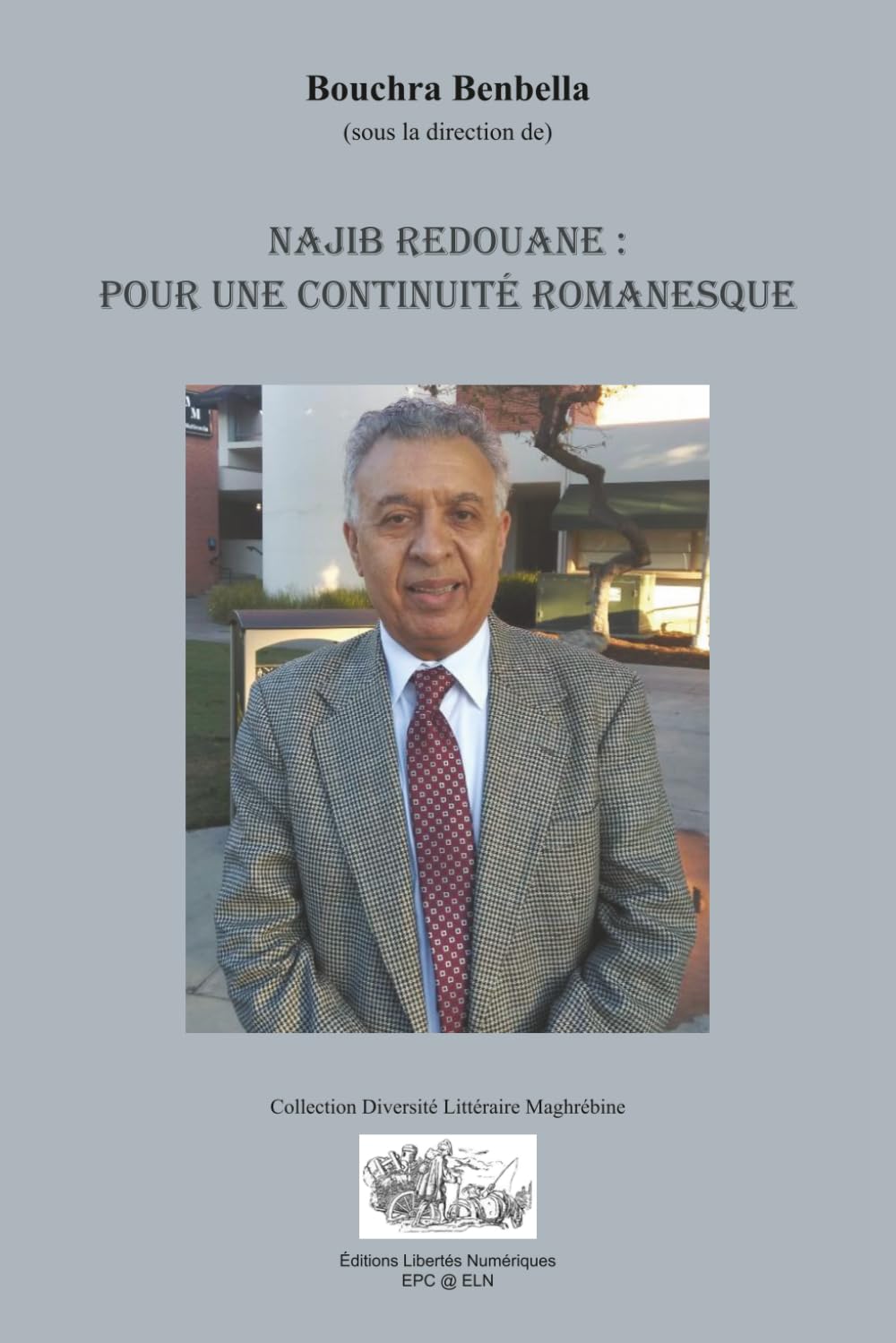NAJIB REDOUANE: POUR UNE CONTINUITÉ ROMANESQUE (COLLECTION DIVERSITÉ LITTÉRAIRE MAGHRÉBINE)