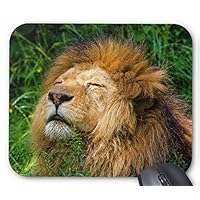 ジョンヒョン 写真集 写真、マウスパッド ジョンヒョン 写真集 写真、マウスパッド