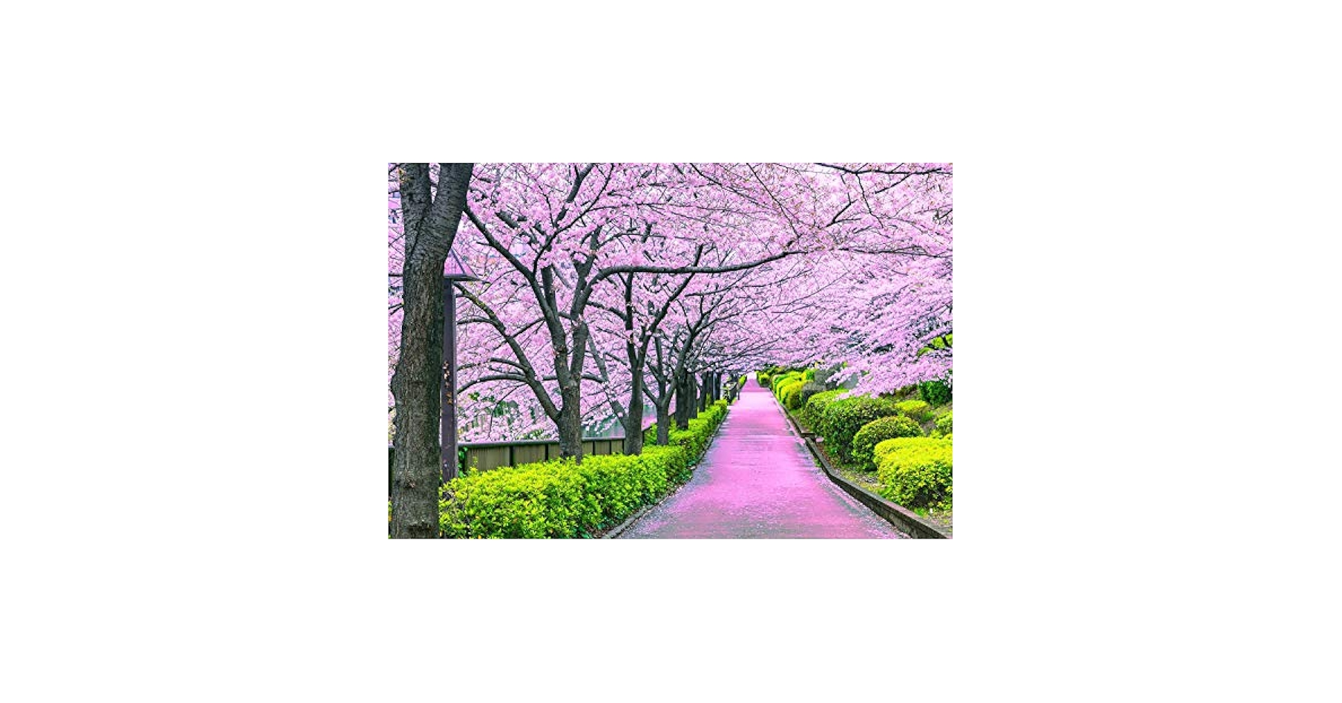 その他 Jigsaw Puzzle Cherry Blossom Kaikai&amp;Kiki TAKASHI MURAKAMI Cherry Blossom With Kaikai Kiki Jigsaw