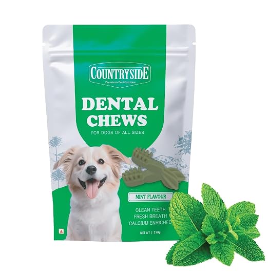 COUNTRYSIDE Dog Dental Chews Treats 250g – Mint Flavor | Brush-Shaped Chews for 