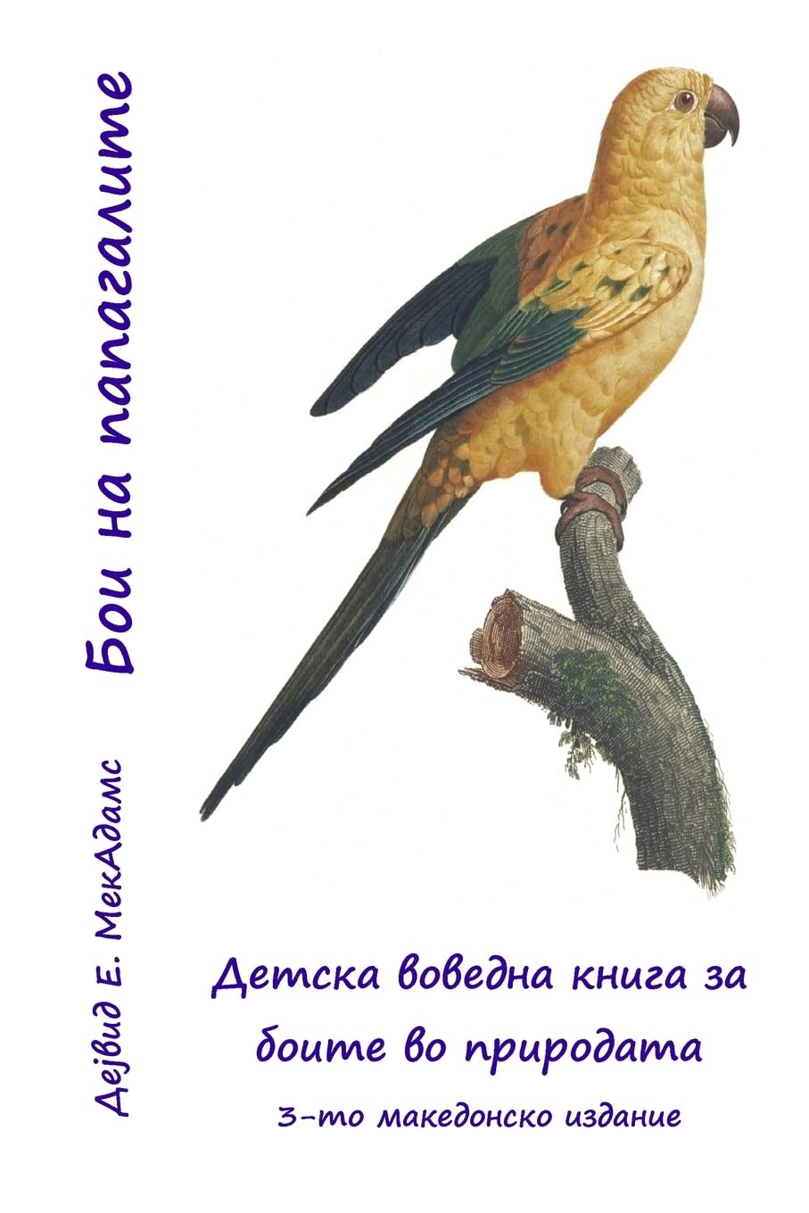 Бои на папагалите: Детска воведна книга за боите во природатk