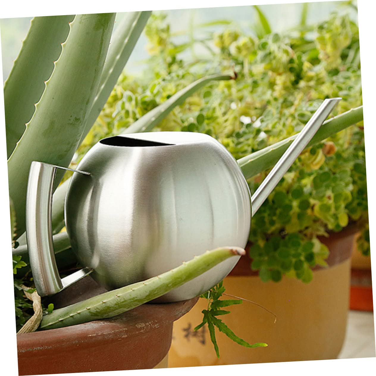 1 Pezzo Annaffiatoio da Inossidabile con Beccuccio per Piante Indoor e Outdoor Strumento Irrigazione Ergonomico e Facile