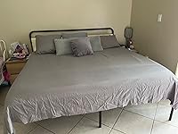 Review Image by felix felix