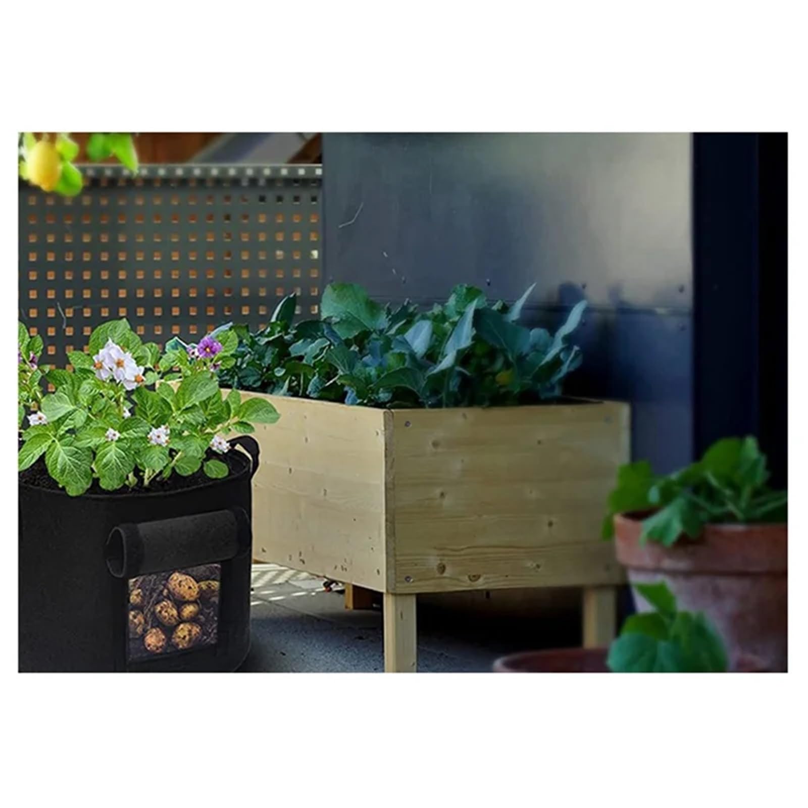Sac Plantation Non Tissé Sac de Culture Pommes Terre 10 gallons, Sacs Robustes for la, en Tissu avec Rabat