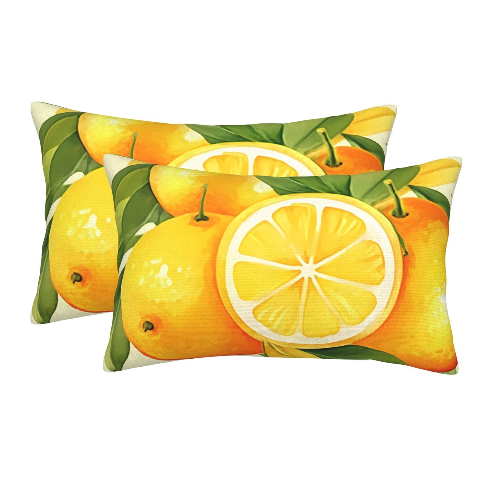 2 Pack Standard Size Pillow Cases for Hair and Skin Soft Breathable Pillow Case Covers with Hidden Zipper Watercolor Lemon Fruit Pillowcase 16"x24" Pillow Cover for Sleeping Gift