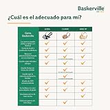 Ver la foto 7