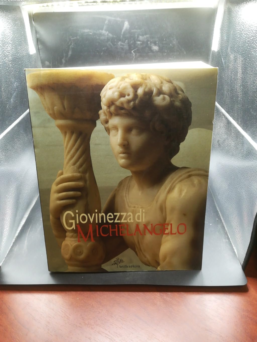 Giovinezza di Michelangelo Ediz illustrata Idée Cadeau Art