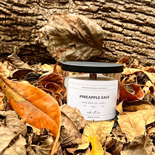 Astonishing Aromas Highly Scented Candles 8 Oz Small Candles Single Wood Wick Candles For Home (Pineapple Sage, Small) #TOP3