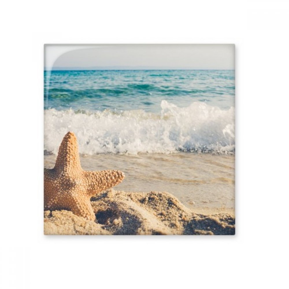 Strand en zee - Woondecoratie kopen? | Korting tot 25
