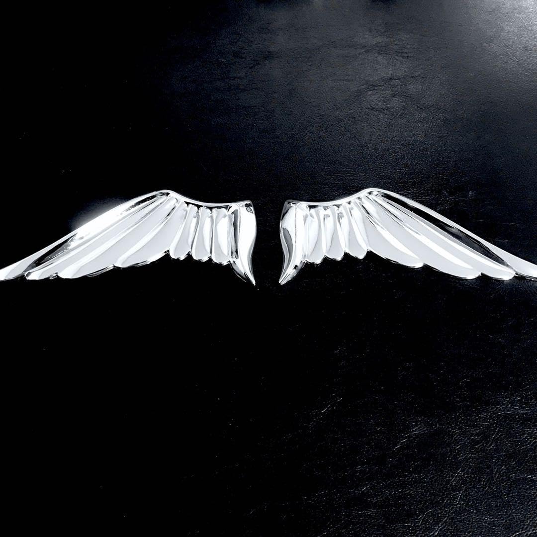 Amazon.co.jp: S 天使 エンジェル 悪魔 デビル 羽 ウイング wing 鳥