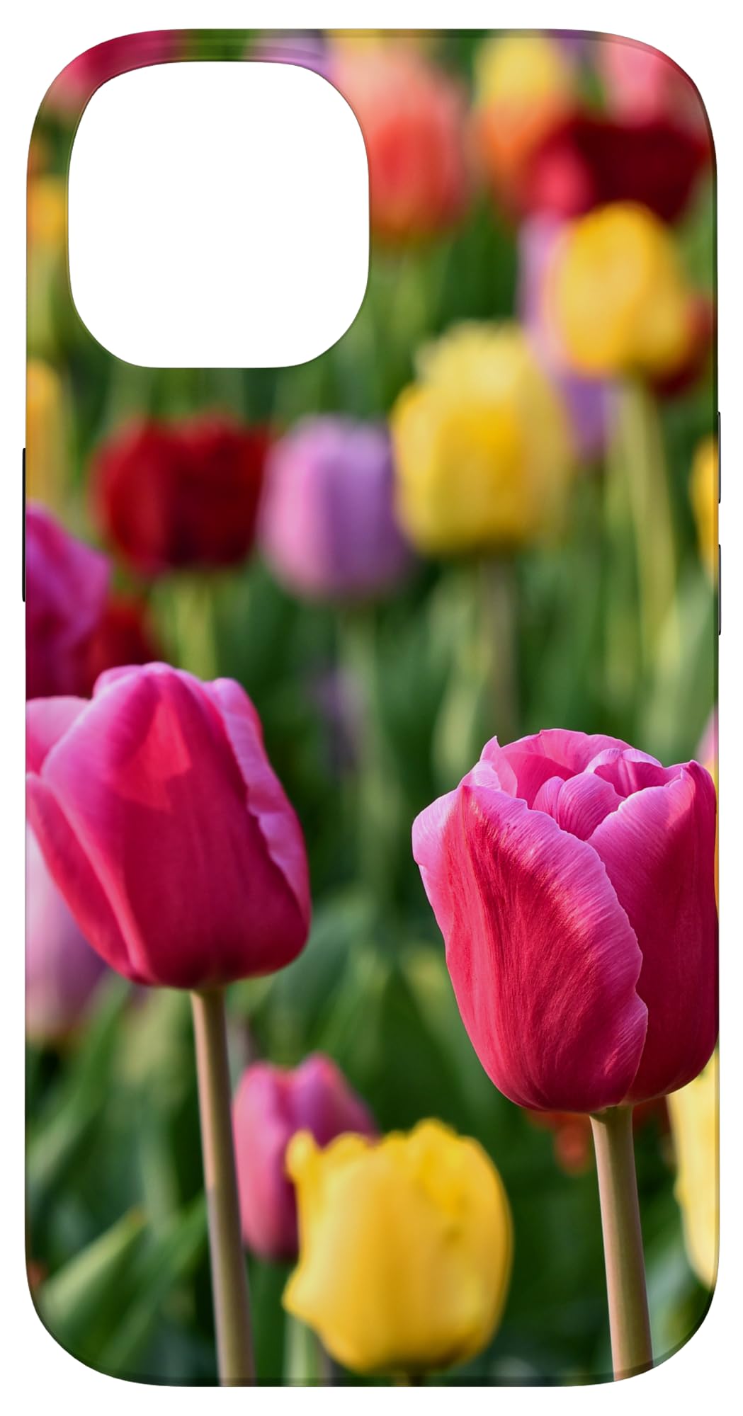 Tulips Case for iPhone 14