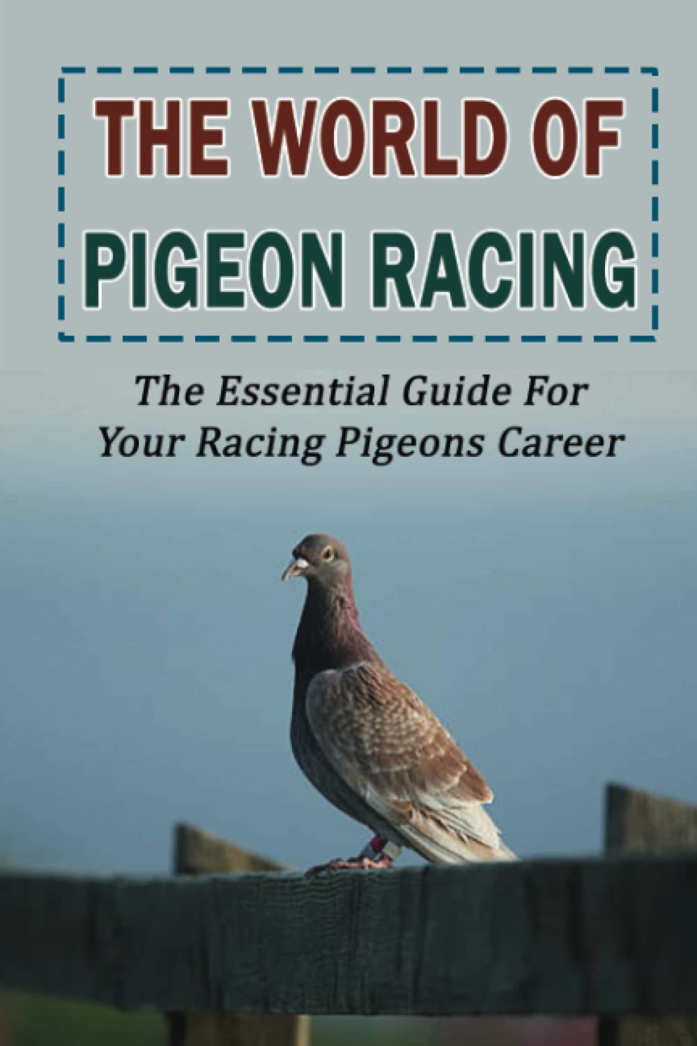 The World Of Pigeon Racing: The Essential Guide For Your Racing Pigeons Career