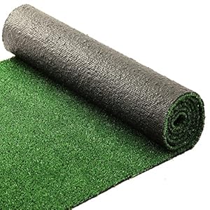 Floordirekt Kunstgras Spring – grastapijt outdoor – kunstgrastapijt voor tuin, balkon & terras – rolgras per meter – uv-bestendig en weerbestendig – (100 x 100 cm, 10 mm, groen)