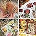 Scrapbooking Große Stickers, Aufkleber Blumen Wetterfest, 24 Pcs PET Dekoration Aufkleber mit Pflanzen & Blumen, Aufkleber Natur für Scrapbook Kalender Notizbuch Tagebuch Fotoalbum DIY Dekoration