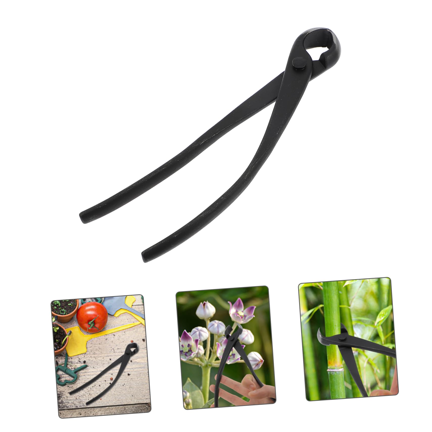 Toddmomy Cutter Per Potatura Forbice Concava Per Bonsai Strumento Resistente e Facile Usare Per Del Giardinaggio