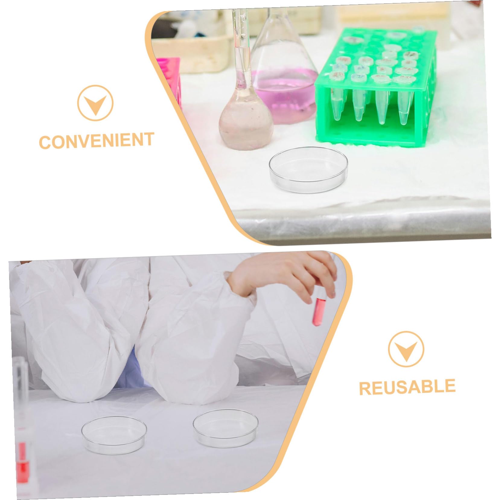 Piastre di Petri in Vetro 90mm 5 Pezzi, Alto Borosilicato | Coperchio Incluso, per Laboratorio e Microbiologia, Resistente al Calore, per Tessuti Vegetali