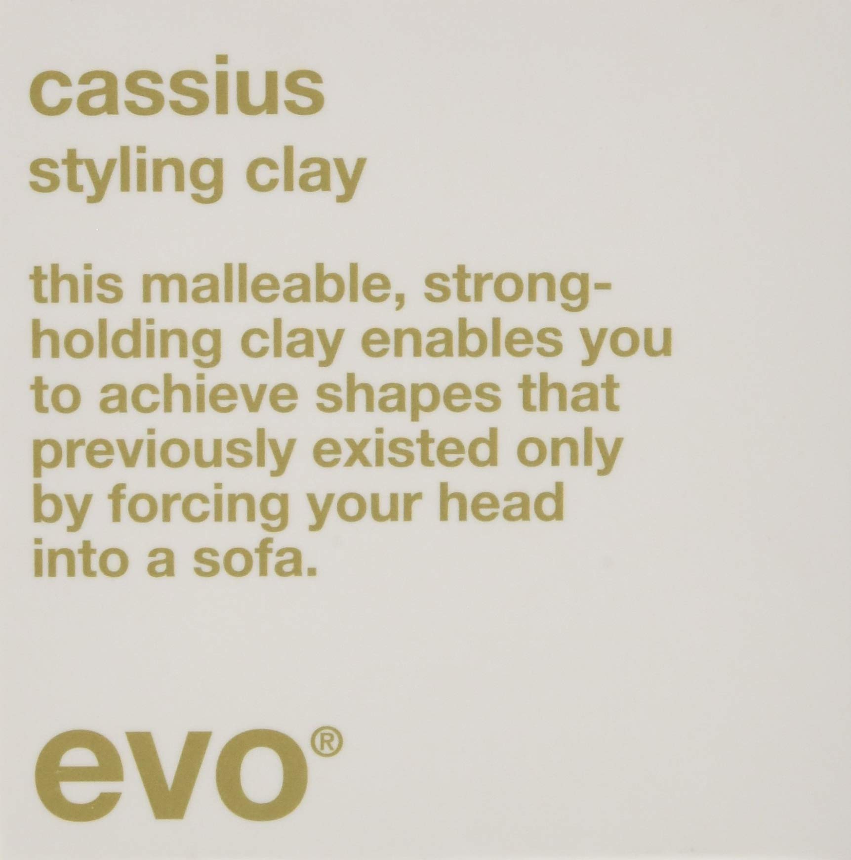 EVO Cassius Styling Clay 90G