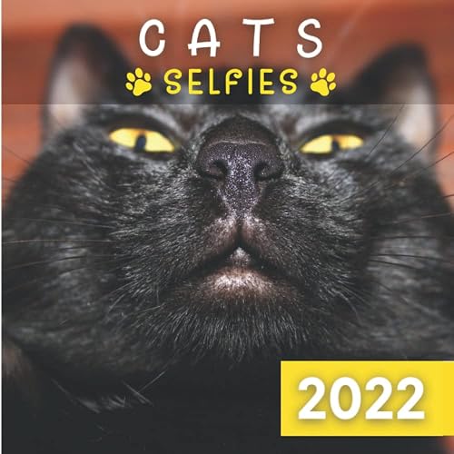 Cats Selfies 2022: Calendar of funny feline animals with awkward face positions - 12 months wall planner for White Elephant Gag Secret Santa Birthday Christmas Gift - Perfect joke and prank