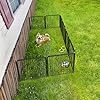 FXW Rollick Unleashed Dog Playpen for Indoor, Yard, RV Camping, 24 inch 8 Panels for Small and Puppy Dogs, Black│Patented #5