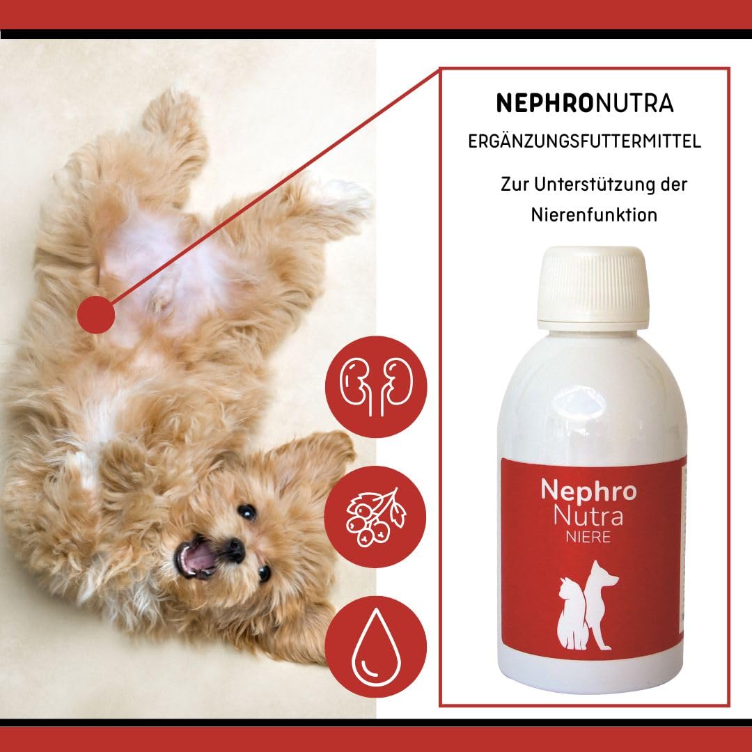 NephroNutra Ergänzungsfuttermittel für Hunde & Katzen: Unterstützt Nierenfunktion, Mit Phosphatbindern, Chitosan & B-Vitaminen, Flüssige Form für einfache Dosierung, 200ml