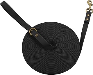 Wisedog Correa Larga de Entrenamiento para Perros de Estilo Clásico Vintage, Color Negro, 10 m