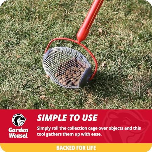 Garden Weasel Nut Gatherer - Small Cage | Pick Up Small Acorns, Buckeyes, Beech Nuts | Nut Collector and Picker Upper Roller | 95334 by GARDEN WEASEL - Image 6