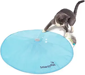 SmartyKat Hot Pursuit Cat Toy