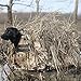 Momarsh Invisi Lab Dog Blind for Waterfowl Hunting & Gun Dogs