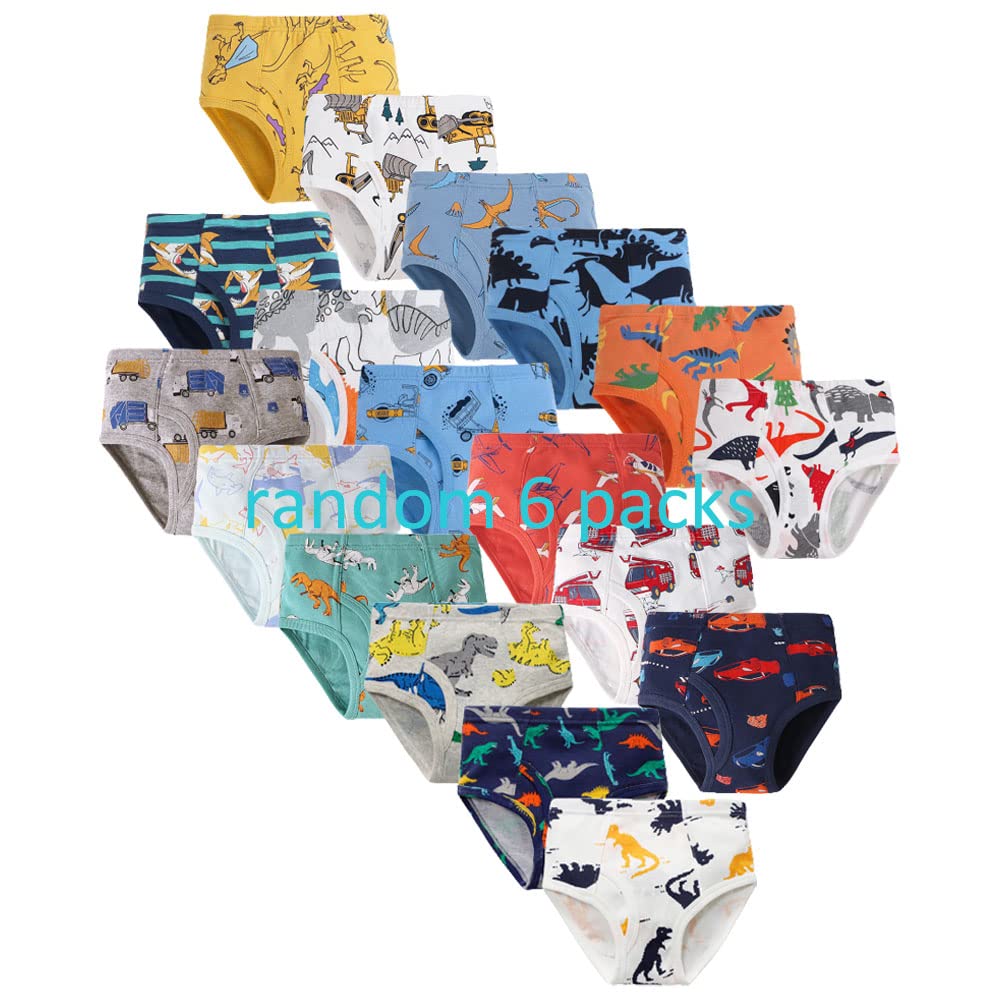 Boys Dinosaur Briefs Assorted Underwear 6-Pack for 2-10 Years