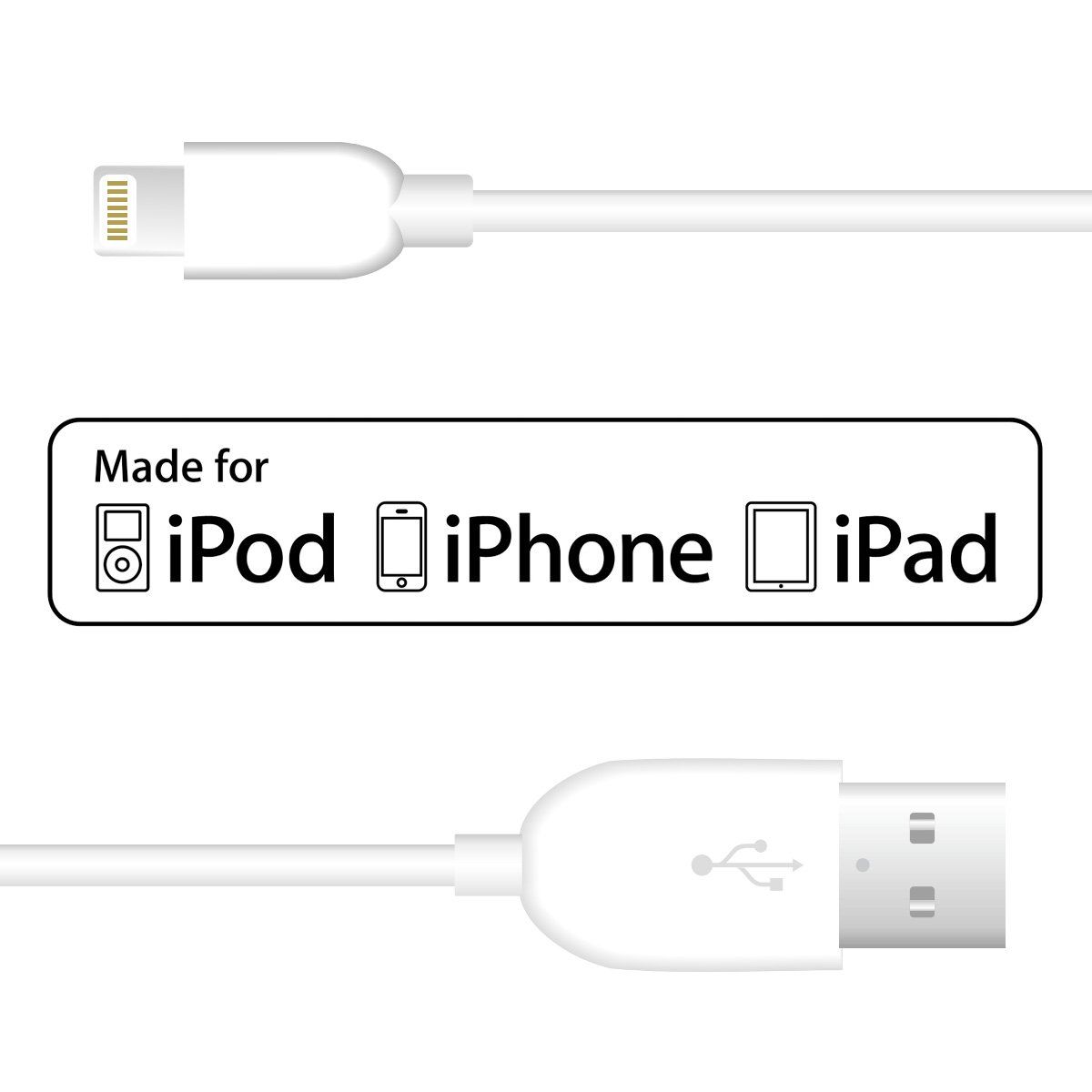 5 Cavi Caricatore Per IPhone E IPad: 3FT 6FT 10FT In Nylon Intrecciato - NDG