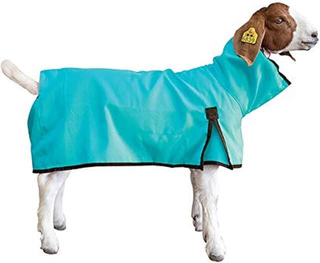 coats for goats