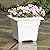 Novelty 26142 Countryside Square Tub Planter, White, 14-Inch