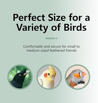 Mineral Bird Perch