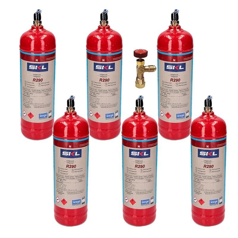 REPORSHOP - 6 Bouteilles de gaz réfrigérant R290 + 370gr Valve Propane