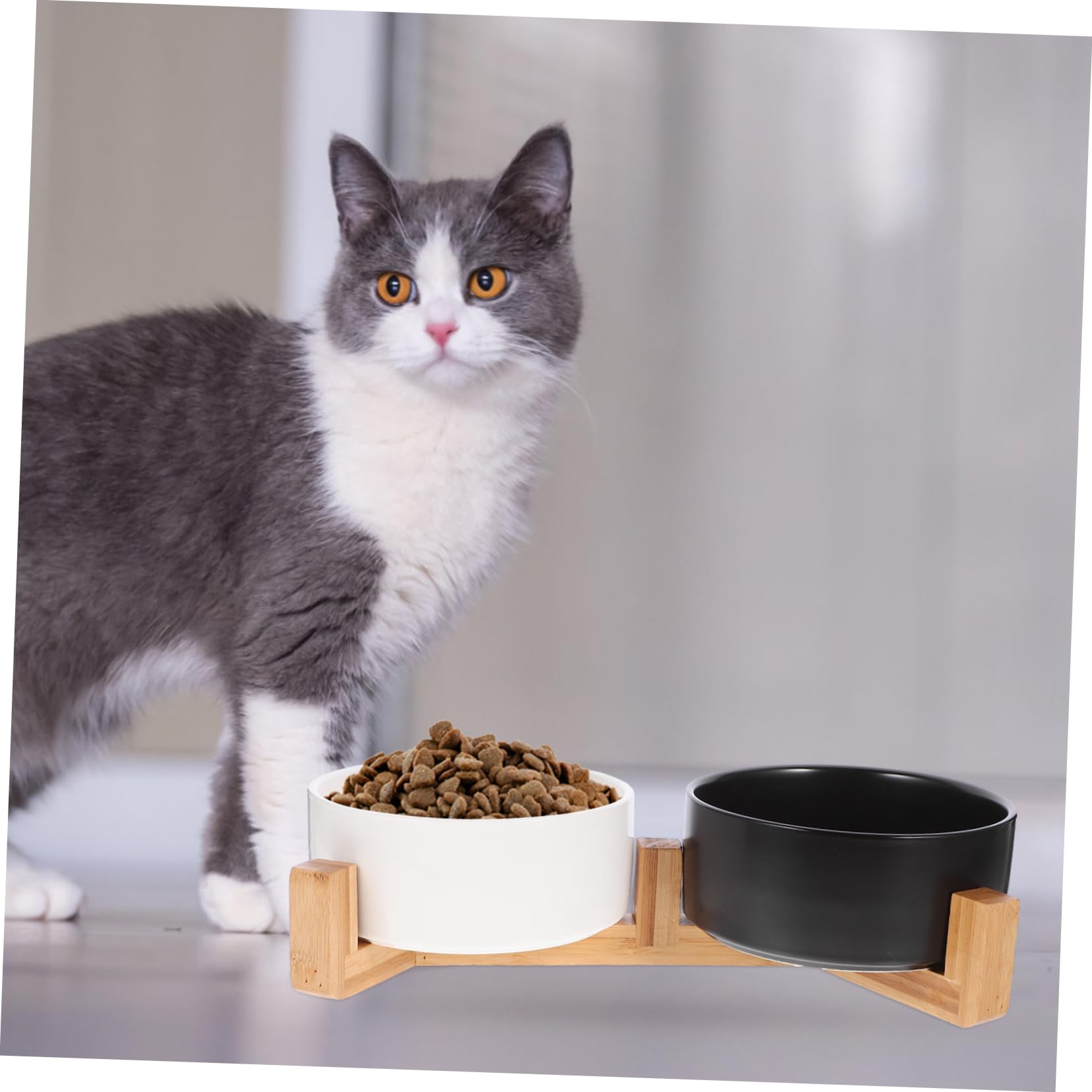YARNOW 1 Juego Cuenco para Mascotas comedero con Soporte contenedor de Agua para Mascotas Cuencos para Gatos Comida de Perro comedero para Cachorros de cerámica para Cachorros