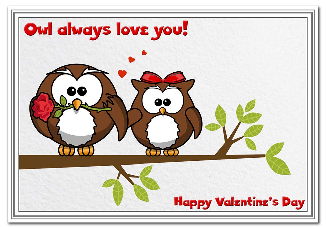 Funny Valentines Cards - Him or Her - Nice Humorous Witty Cute Corny Best Design (Owl Valentine Card)
