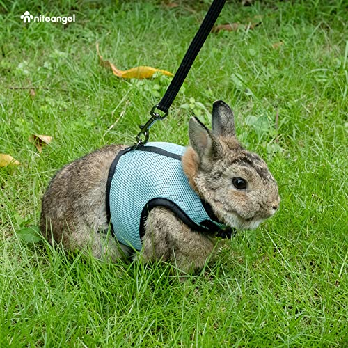 Niteangel Adjustable Soft Harness With Elastic Leash For Rabbits (L, Blue) #TOP5