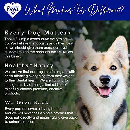 Project Paws Hip And Joint Supplement For Dogs - Dog Glucosamine Chews With Msm, Chondroitin And Organic Turmeric - 120 Ct #TOP6