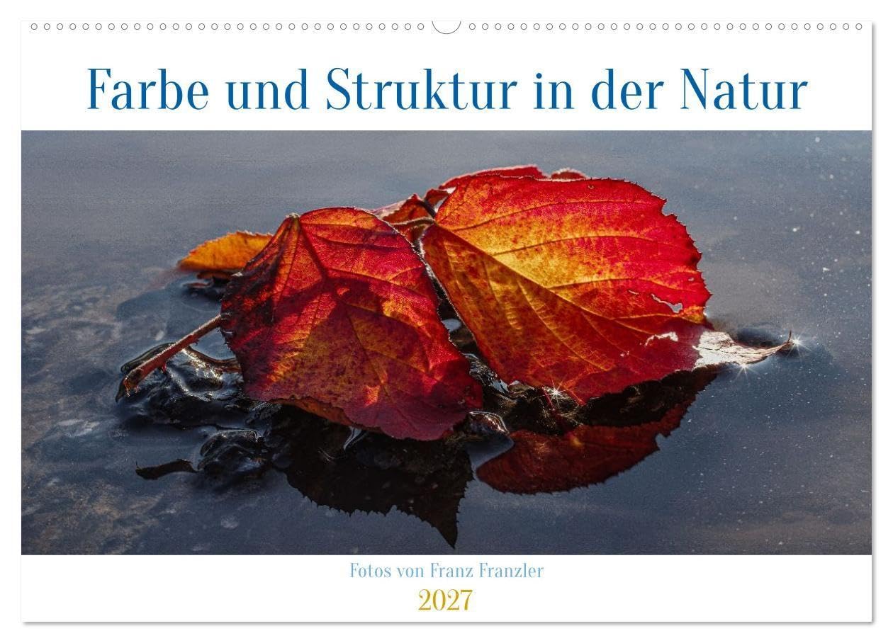Farbe und Struktur in der Natur (Wandkalender 2027 DIN A2 quer), CALVENDO Monatskalender: Abwechsend farbenfrohe Details aus der Natur (CALVENDO Natur)