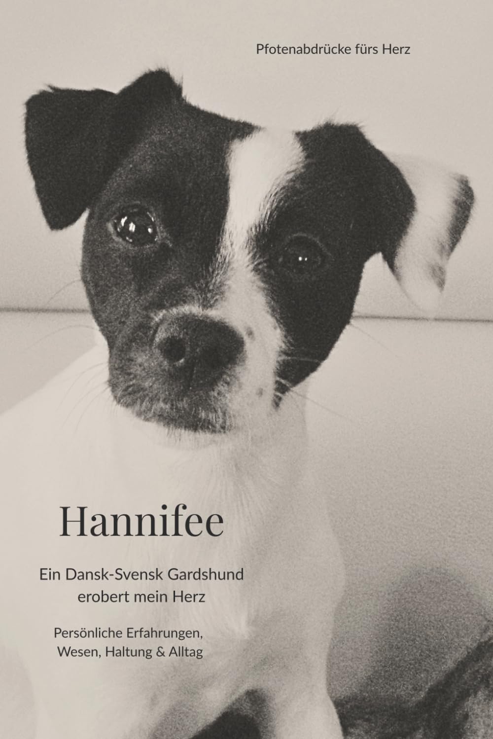 Hannifee: Ein Dansk-Svensk Gardshund erobert mein Herz (Pfotenabdrücke fürs Herz)