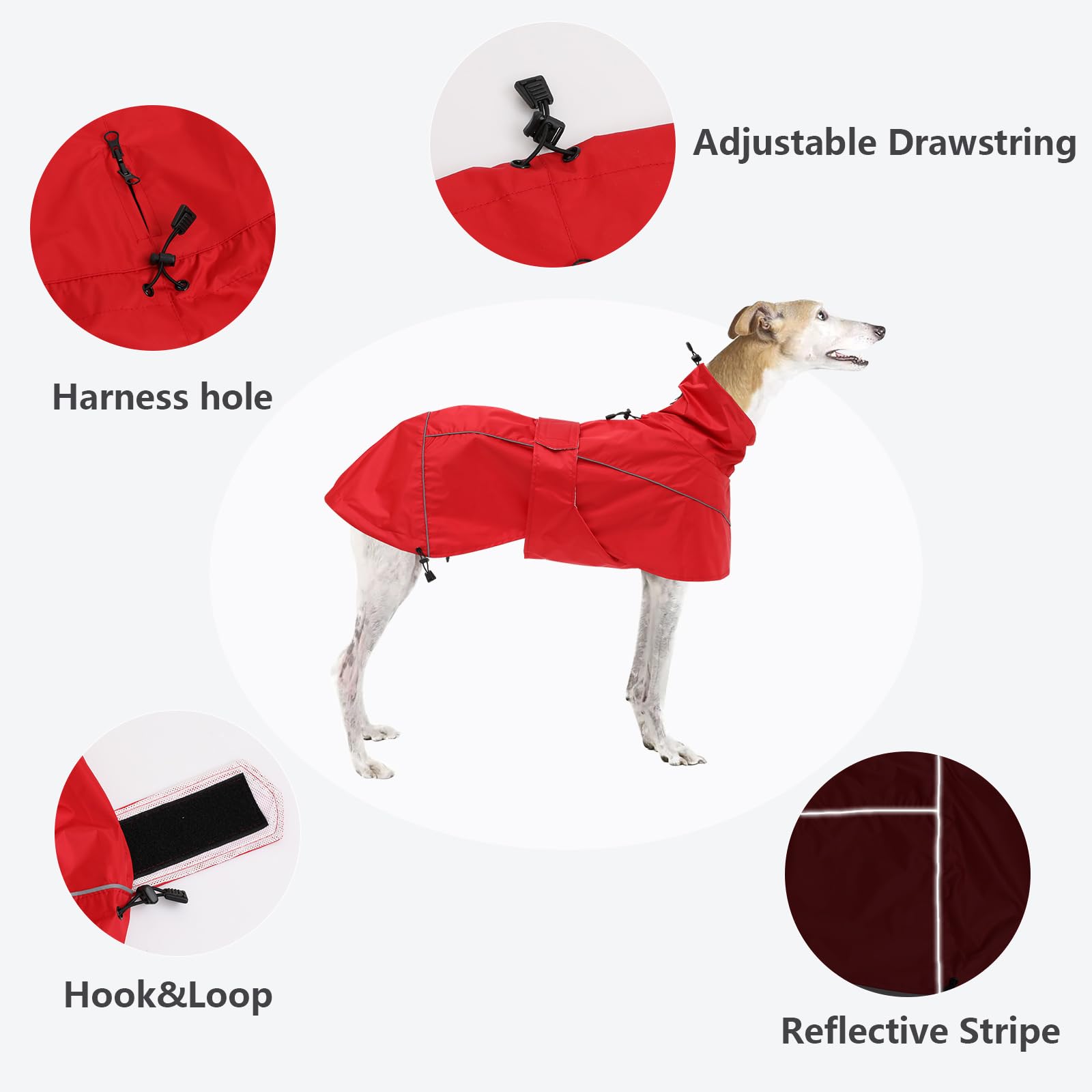 Manteau de Pluie MOREZI Greyhound, imperméable/imperméable, avec Cordon de Serrage réglable et Ceinture pour protéger l'abdomen, adapté aux Chiens de Taille Moyenne et Grande-Rouge-M