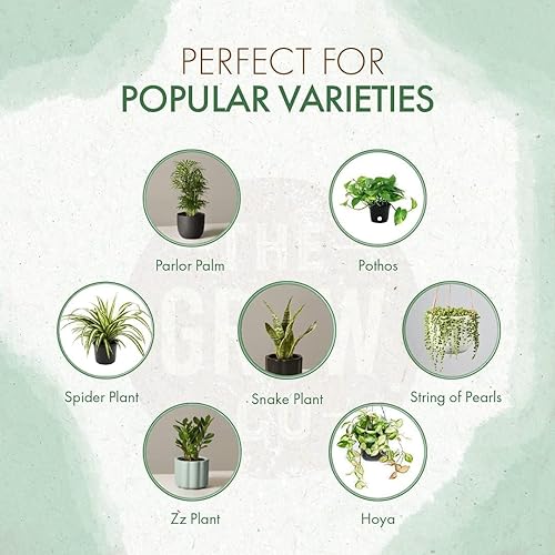 Miniatura 2 de Alimento para plantas de interior – Fertilizante multiusos (alternativa líquida) – Lo mejor para plantas de interior + plantas comunes de exterior