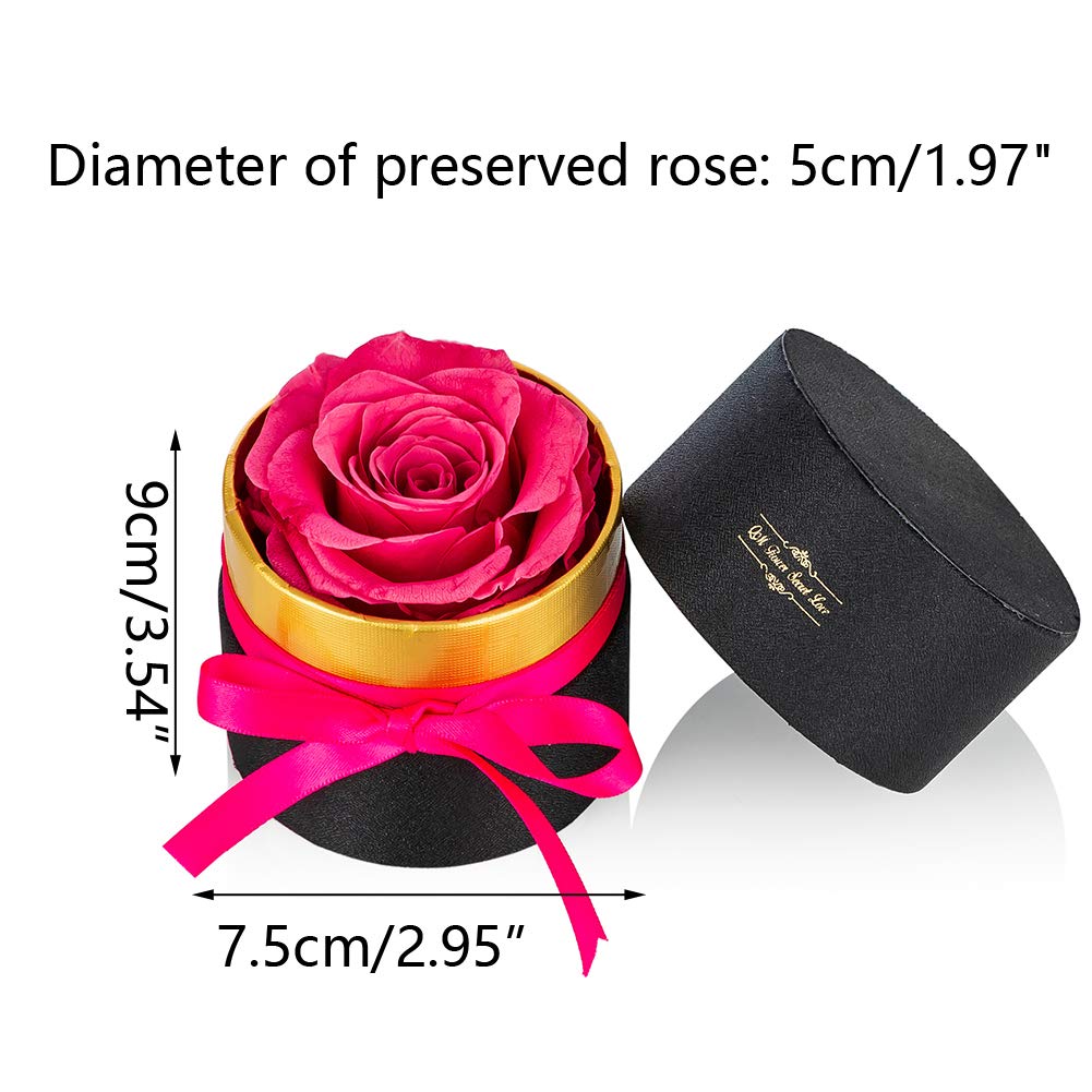 Touloube Rosa Stabilizzata Regalo per la Festa Della Mamma per Donne - Vera Eterna Rosa Fiori Regalo, Idee Regalo Donna Compleanno Anniversario Per Lei, Regali Mamma Fidanzata Moglie Sorella