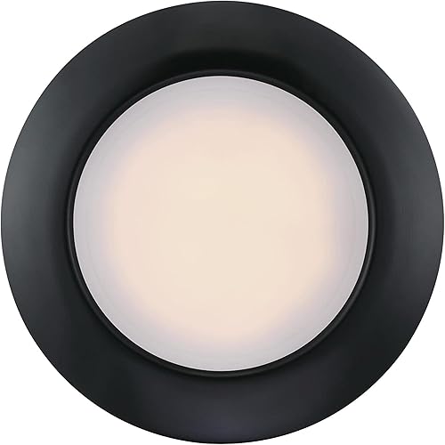 Miniatura 2 de Westinghouse Lighting 6120200 Makira - Lámpara tradicional de una sola luz, 11 pulgadas, 20 W, regulable, LED, para interiores y exteriores, con