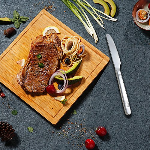 Begale Stainless Steel 50-Piece Flatware, Service For 10 #TOP4