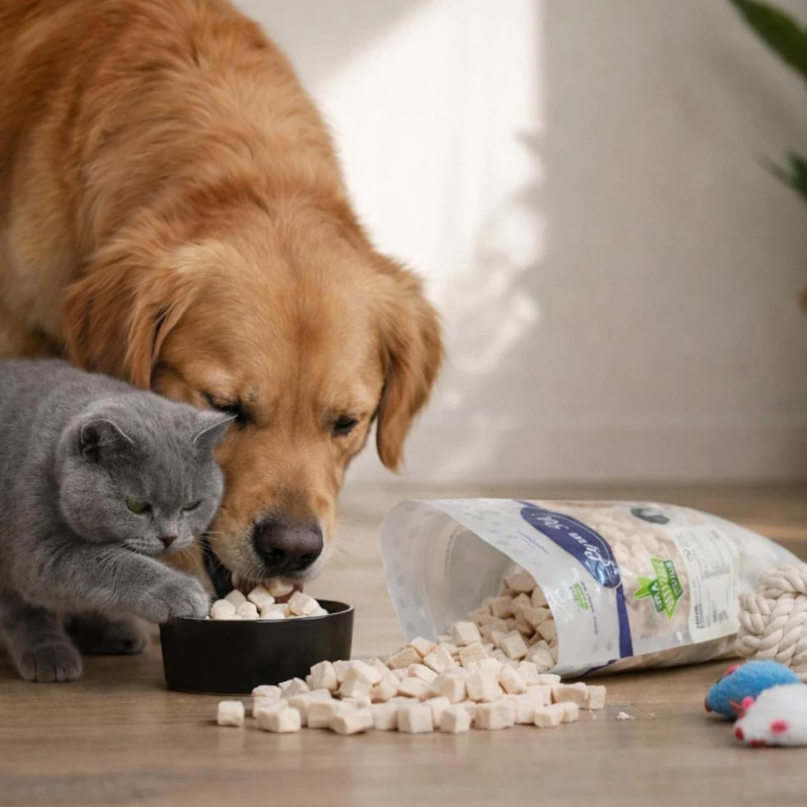 Lyra Pet® 5 kg (25x 200 g) Hühnerbrustwürfel gefriergetrocknet Hund & Katze | Snack für Hunde & Katzen - Getreidefreies & fettarmes Leckerli - Auch für Kitten, Welpen & Senioren - Proteinreiches Futter