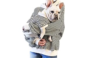 Matching Dog Hoodies With Owner Family Clothes for Dog Pitbull